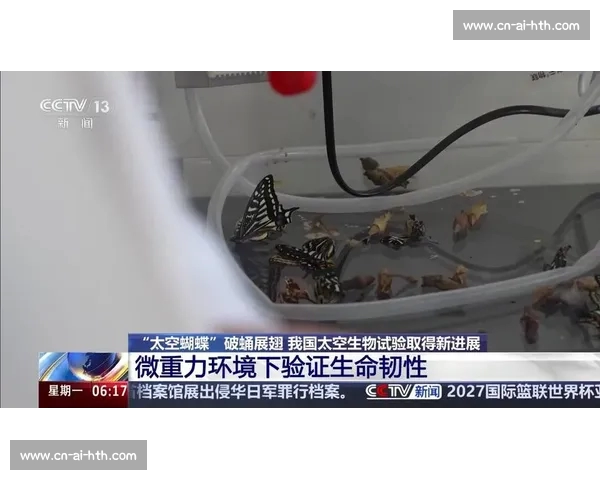 破茧成蝶：在磕碰中淬炼生命的韧性